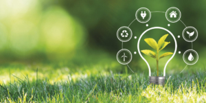 Corporate Sustainability Reporting Directive: Nachhaltigkeit richtig nachweisen - Ecovis Deutschland