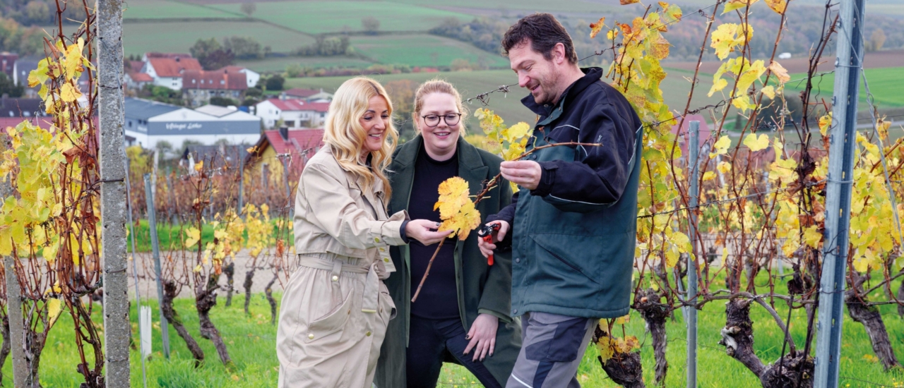 Weingut Lother: Vielfach ausgezeichnete Weine