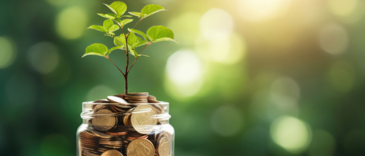 Tagesgeldkonten: Wie Unternehmen die Vorteile nutzen und ihre Finanzen optimieren - Ecovis International