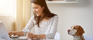 Kosten für Laptop oder Bildschirm sofort abschreiben