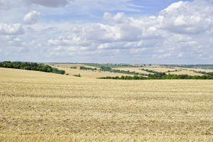 Enteignung steuern zahlen