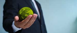 Nachhaltigkeitsberichts|Nachhaltigkeitsberichts