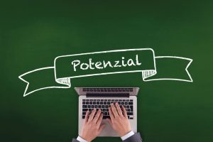 Datenanalyse in der Wirtschaftsprüfung