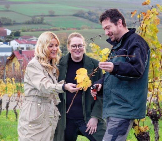 weingut-lother-vielfach-ausgezeichnete-weine.jpg