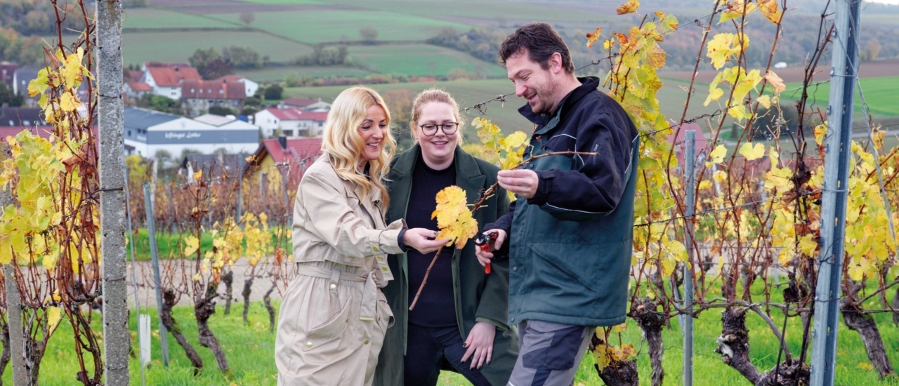 Weingut Lother: Vielfach ausgezeichnete Weine