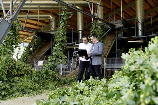 Abgabe der Steuererklärung Landwirte Forstwirte