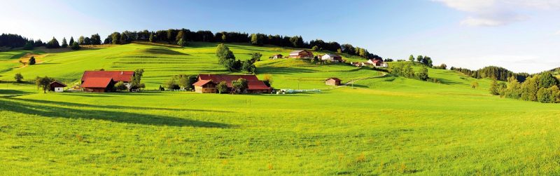 Betriebsteilung Steuervorteile