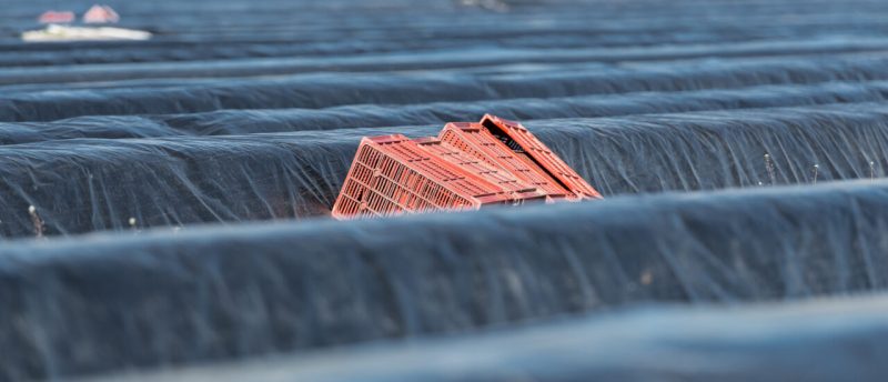 corona-soforthilfe für landwirte