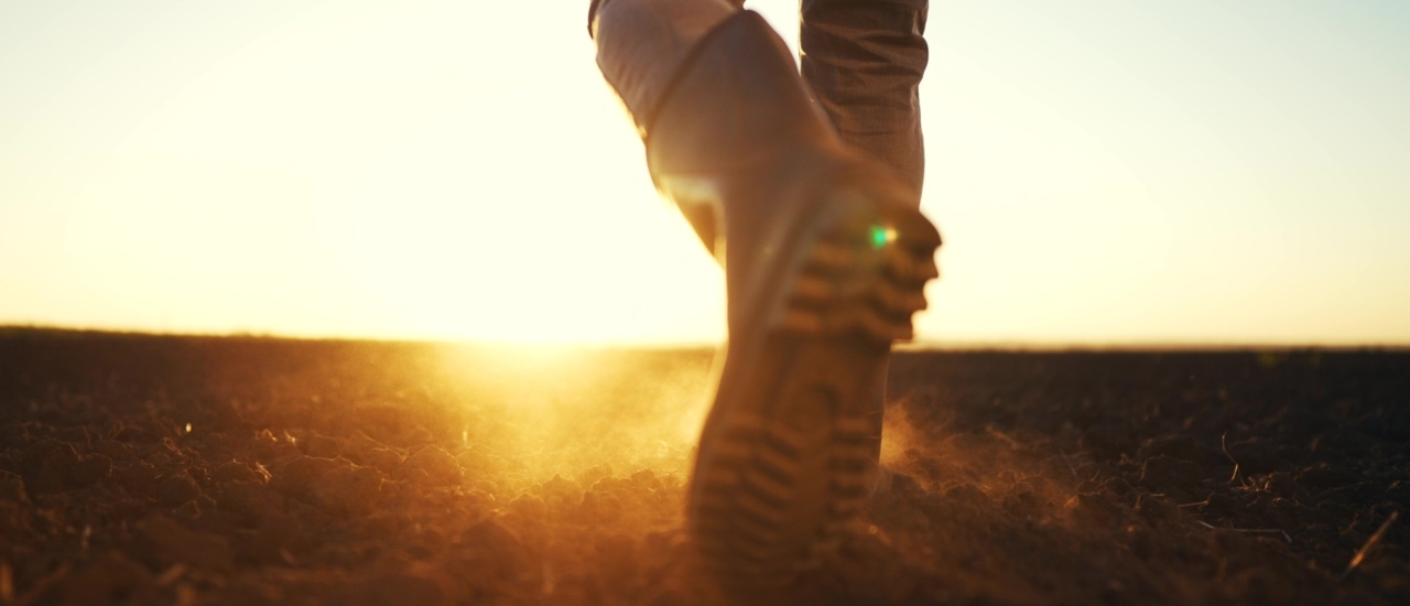 Das müssen Landwirte jetzt wissen und beachten - Ecovis Deutschland