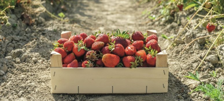 Diebstahl vom Feld was tun