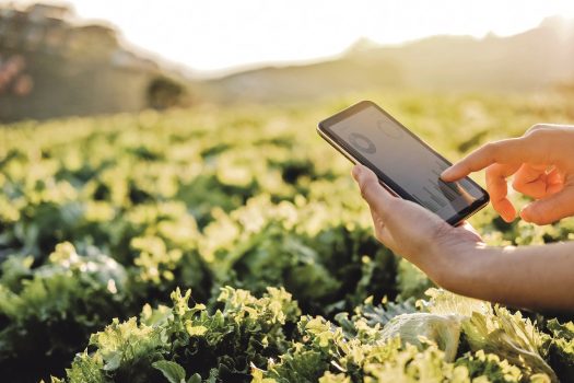 Digitalisierung in der Landwirtschaft Chancen