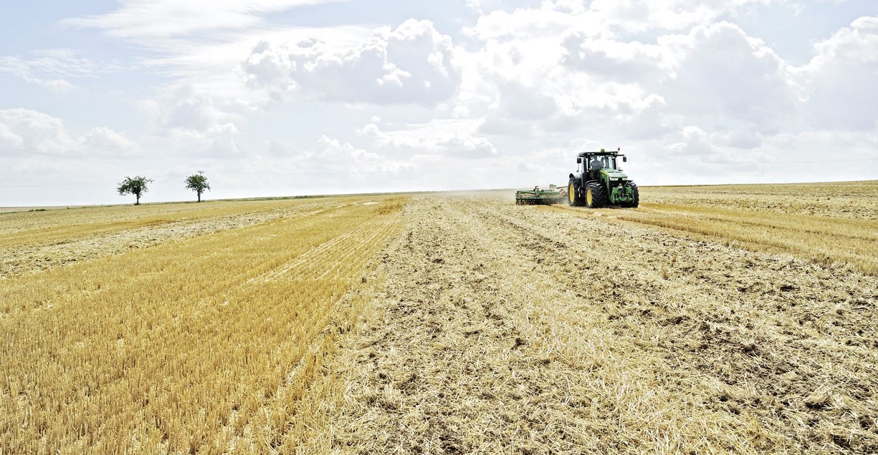 Ein oder zwei Betriebe? Die steuerlichen Folgen - Ecovis Deutschland