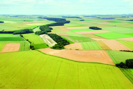 Einkünfte aus Unterverpachtung