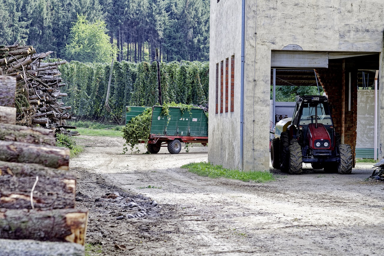Einspruch bereits gegen den Grundlagenbescheid – auch bei Kalamitätsholz