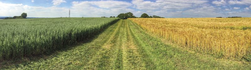 Flächenverkäufe besteuern