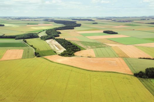 landwirtschaftliche fläche betriebsvermögen