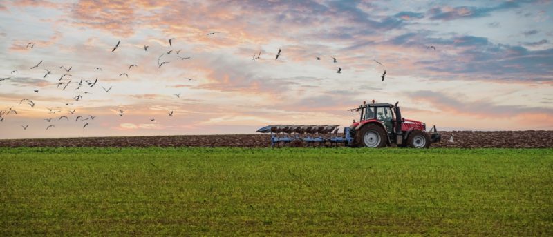 Gewinnermittlung nach Durchschnittssätzen