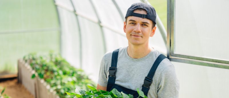 Kindergeld Agrarbetriebswirt