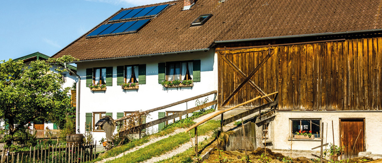 Lässt sich ein Biberschaden von der Steuer absetzen?