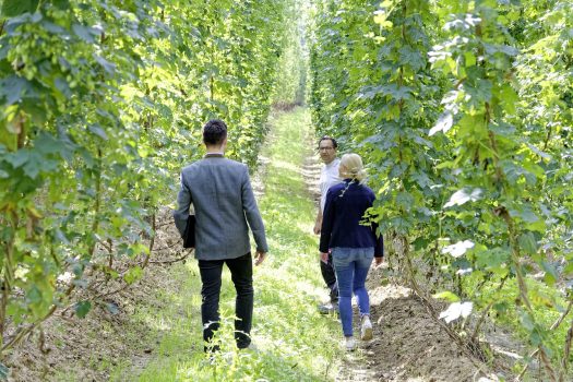 Praktikanten beschäftigen Landwirtschaft