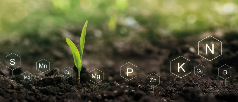 Preisentwicklung Düngermarkt|