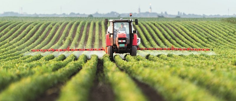 Rechtsformwahl in der Landwirtschaft