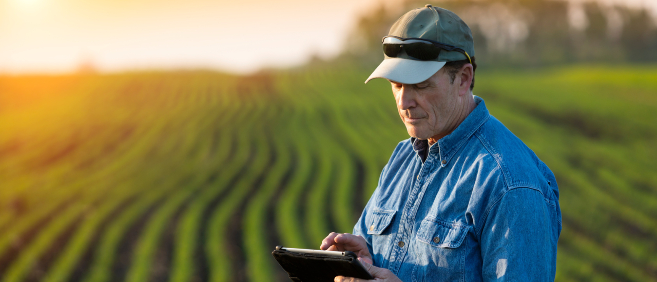 Reverse Charge: Umsatzsteuer bei Leistungen aus dem Ausland