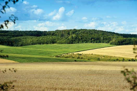 Übergabe verpachteter Betriebe