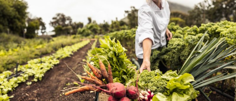 Umsatzsteuer Marktgebühren
