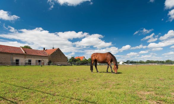 Verpachtung Umsatzsteuerpauschalierer