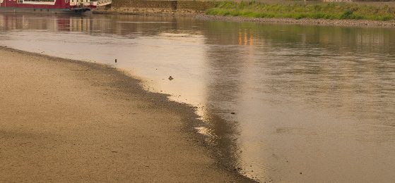 Wann ist ein Angelverein gemeinnützig? - Ecovis Deutschland