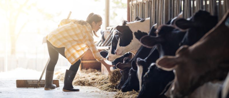 Steuererklärung Landwirte
