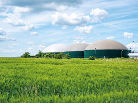 Erzeugung von Biogas
