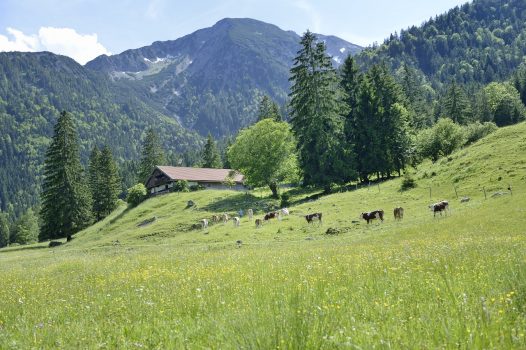 Zahlungen Vertragsnaturschutzprogramm versteuerung