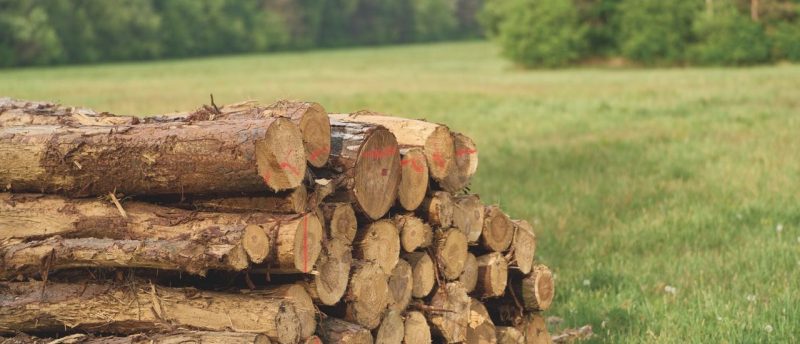 Thesaurierungsbesteuerung