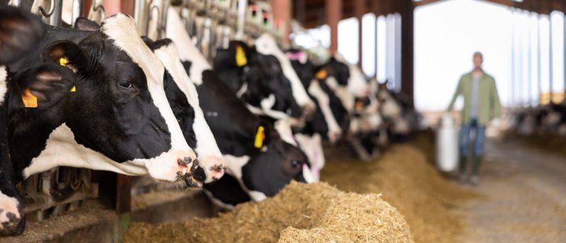 Schwimmschicht kann TA Luft erfüllen