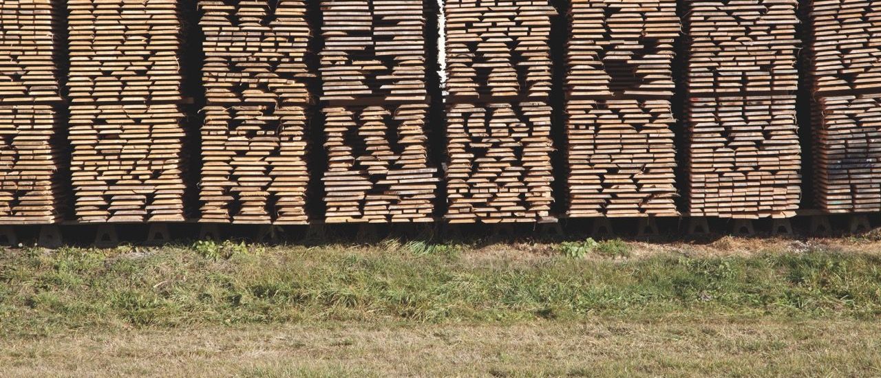 Was für die Umsatzsteuer auf unentgeltliche Trocknungsleistungen gilt - Ecovis Deutschland