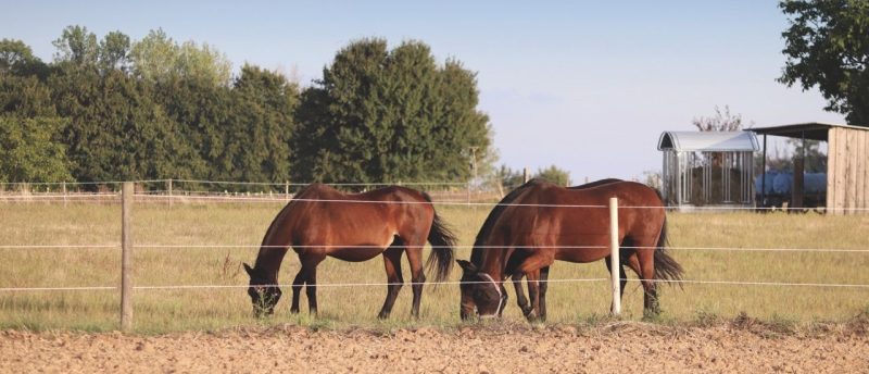 Landwirtschaft und Pferdehaltung