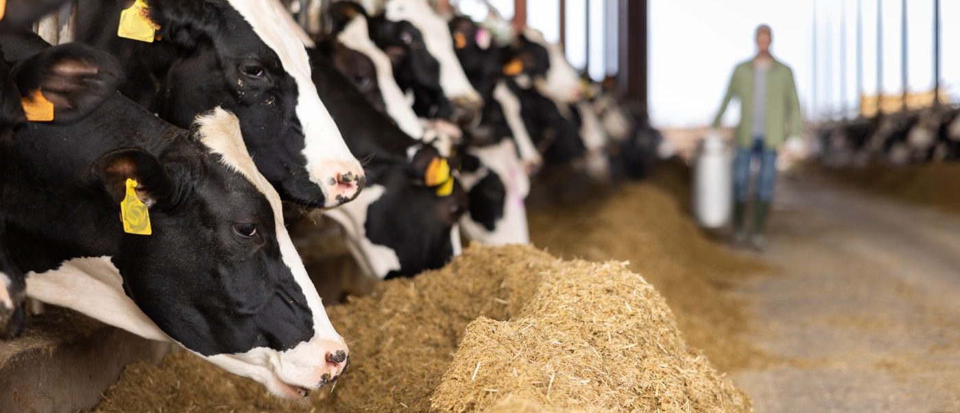 Umsatzsteuerpauschalierung: Einheitlicher Betrieb zählt - Ecovis Deutschland