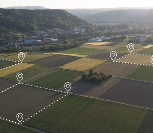 Flächenverkauf clever planen: So sparen Landwirte Steuern beim Grundstücksverkauf