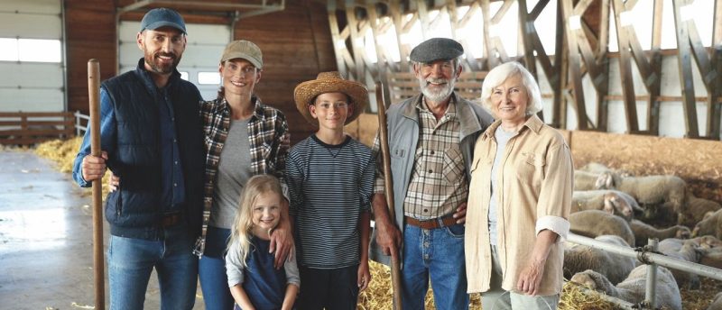 Erbengemeinschaft vermeiden: Warum ein Testament für landwirtschaftliche Betriebe so wichtig ist