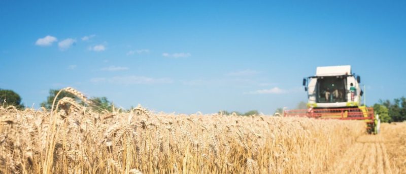 Agrargesellschaft Altjeßnitz mbH: Moderne Bio-Landwirtschaft zwischen Schlepper und Serverraum