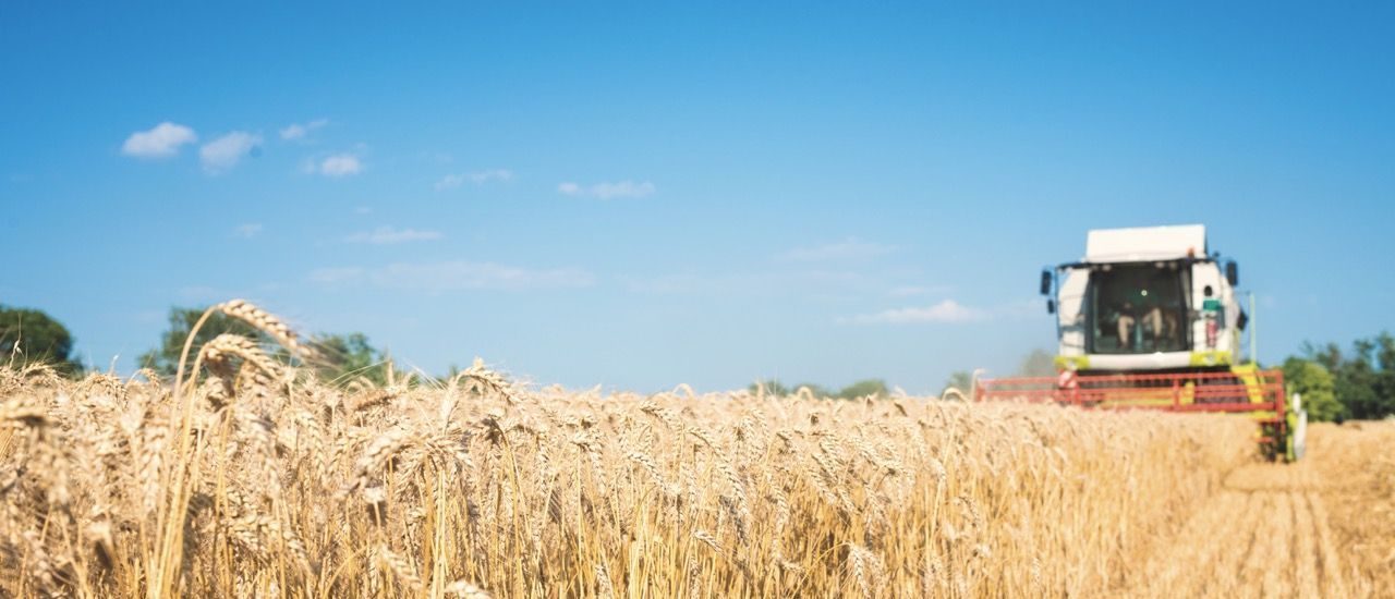 Agrargesellschaft Altjeßnitz mbH: Moderne Bio-Landwirtschaft zwischen Schlepper und Serverraum