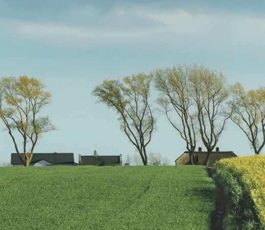 Teilentgeltliche Übertragung: Neue Gestaltungsspielräume für Landwirte