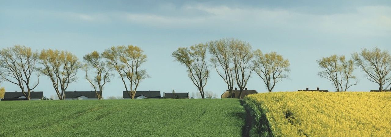 Teilentgeltliche Übertragung: Neue Gestaltungsspielräume für Landwirte